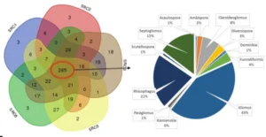 Figure 11 : Diagramme de Venn