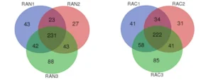 Figure 12 : Diagrammes de Venn